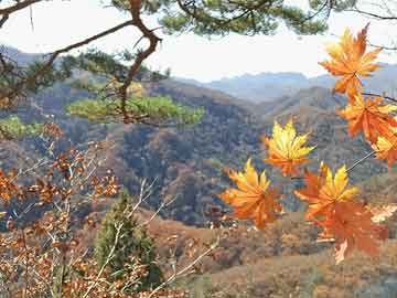 苹果笔记本电脑声音按键（苹果笔记本声音快捷键不能用了）